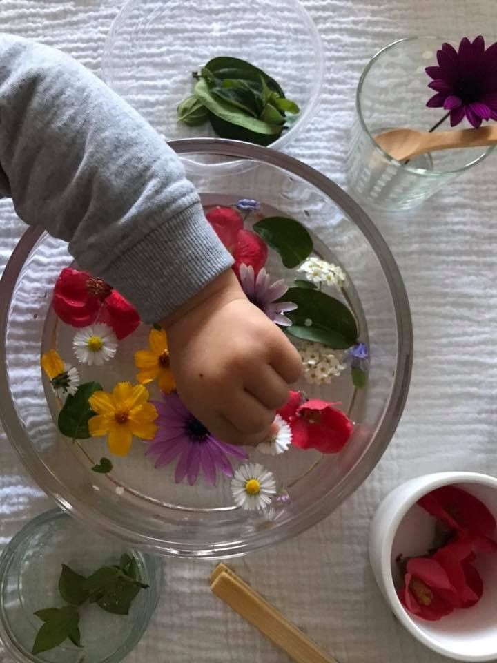 Soupe de fleurs