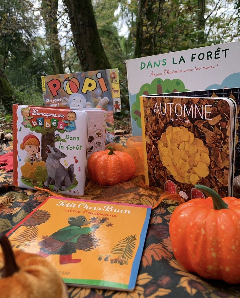 Lecture d’automne en forêt 