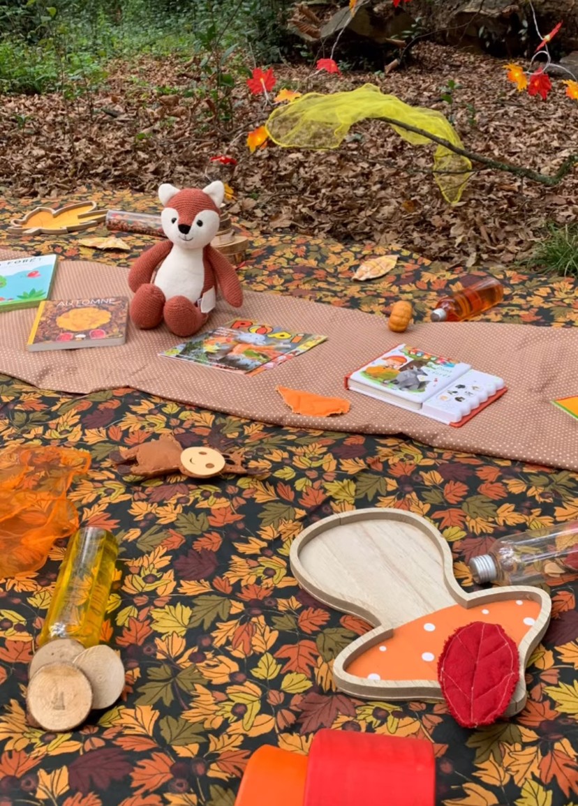 tapis d’automne en forêt 