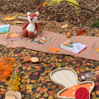 tapis d’automne en forêt 