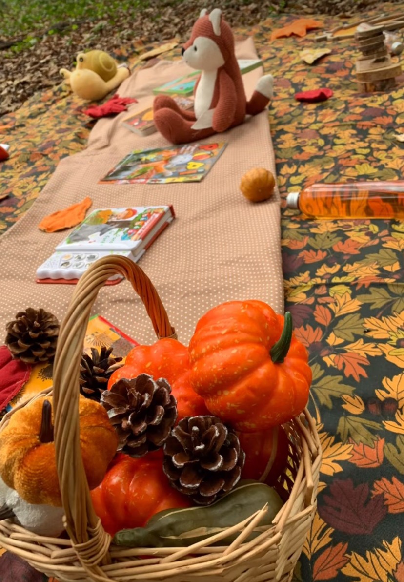 Tapis d’automne en forêt 