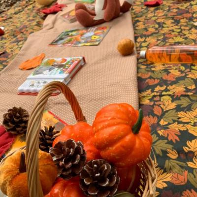 Tapis d’automne en forêt 